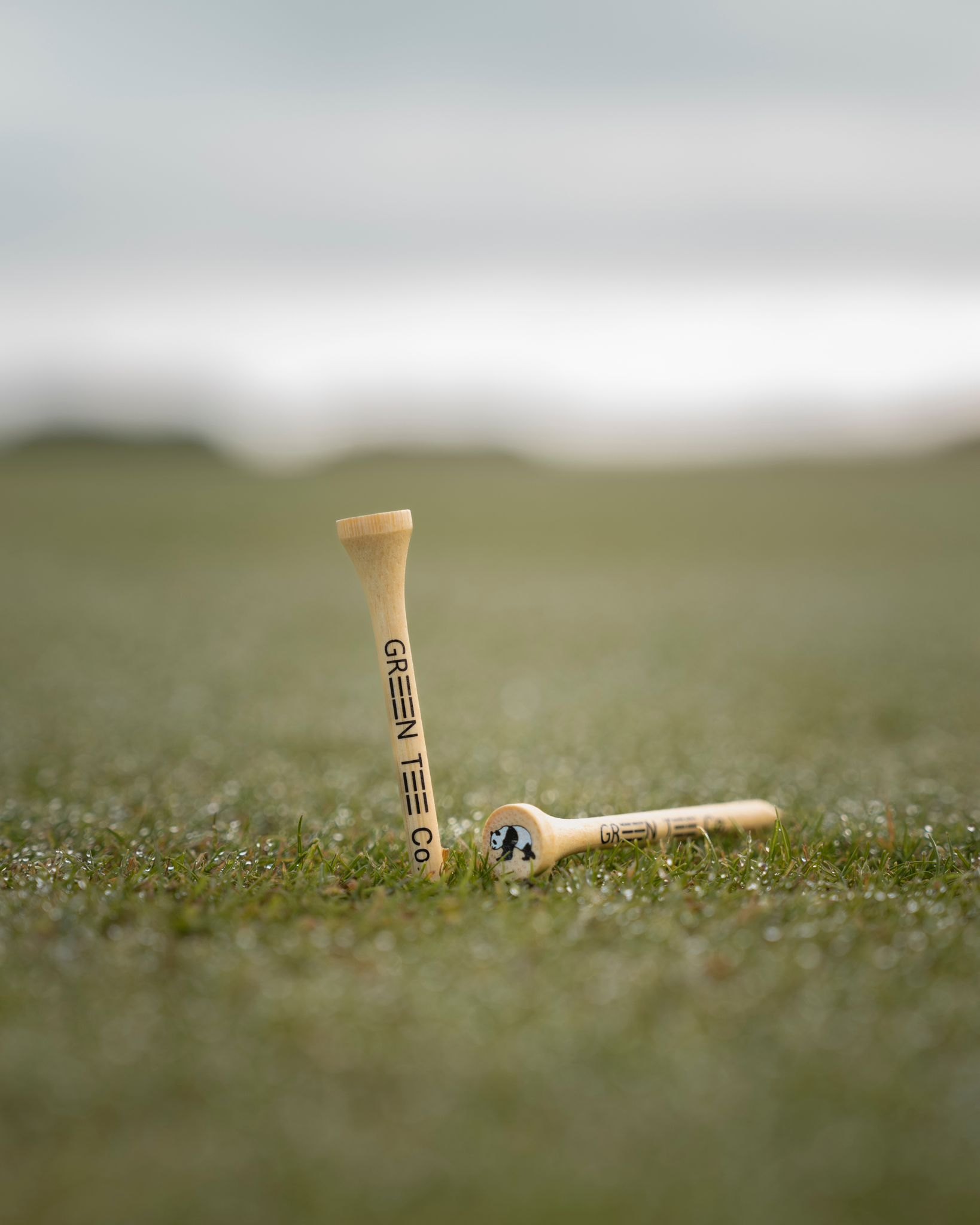Branded bamboo tee set in turf