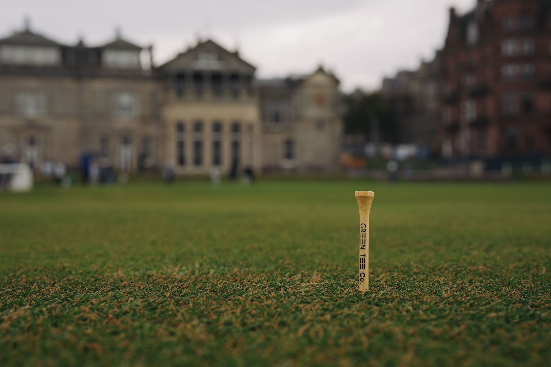 Green Tee Co branded bamboo tees in dewy grass